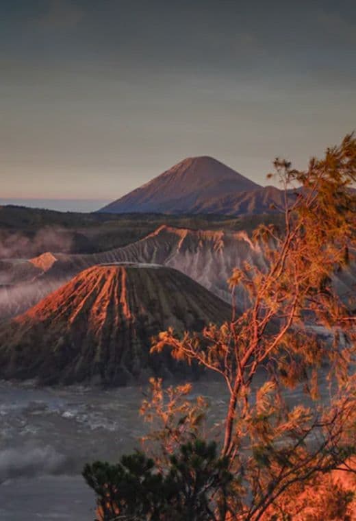 Malang